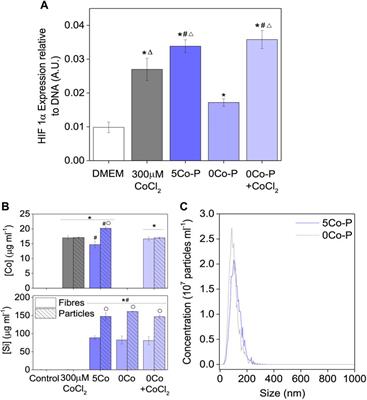 Cobalt containing glass fibres and their synergistic effect on the HIF-1 pathway for wound healing applications